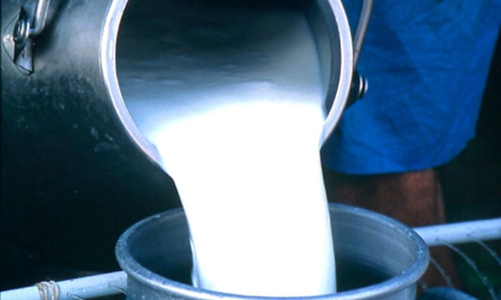 खाद्य गुणस्तर मापदण्ड विपरित प्लाष्टिककै भाँडामा दूध ढुवानी
