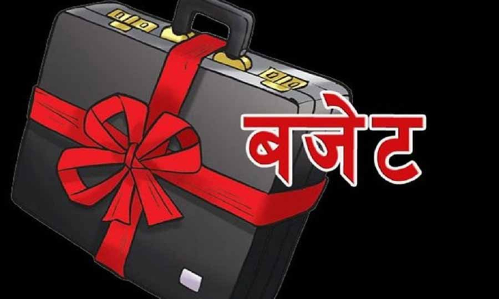 दुई उपमहानगरपालिका सहित ६१ स्थानीयतहले अझै ल्याउन सकेनन् चालु आवको बजेट