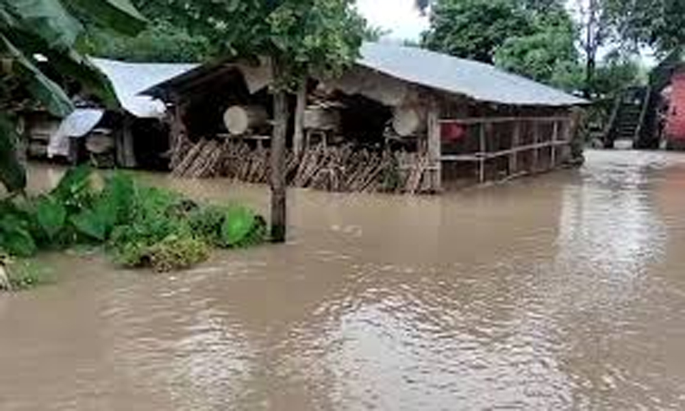 बाढीबाट झापामा ४५० घर डुबे