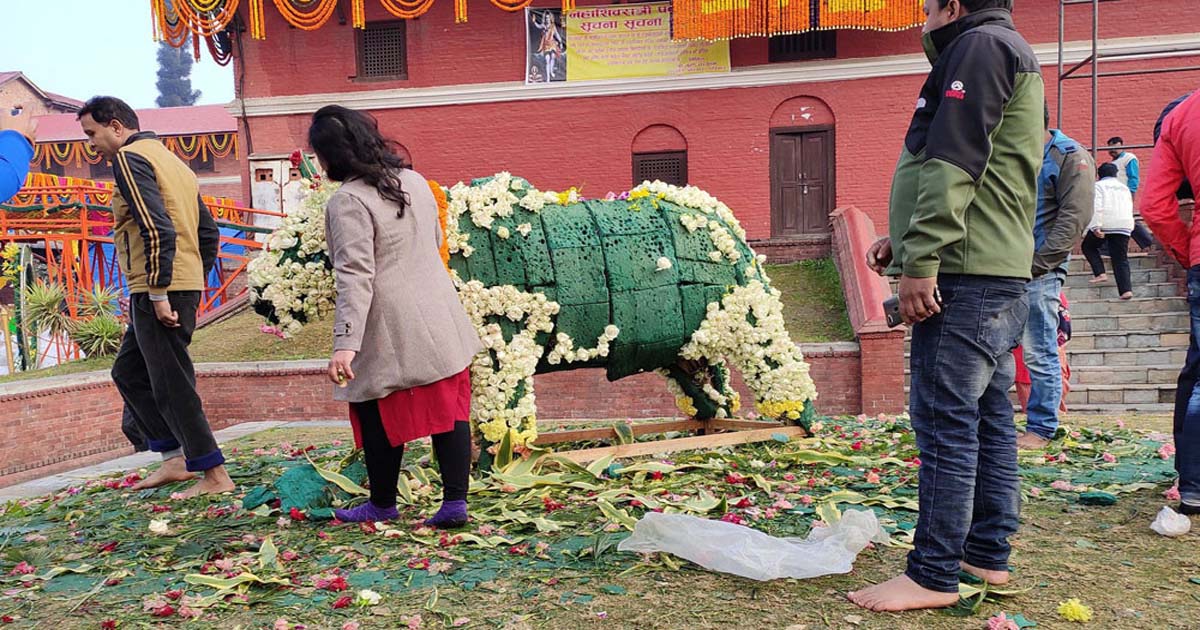 मानिस त बाँदरभन्दा पनि बदमास रहेछन् !