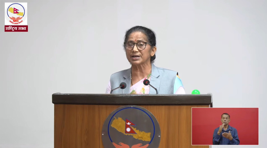 सरकारले आतंक सिर्जना गरेर शासन गर्न खोज्यो : कमला पन्त