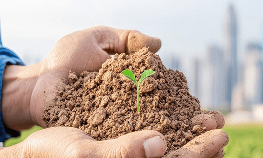 आज अन्तराष्ट्रिय स्वयंसेवक र माटो दिवस