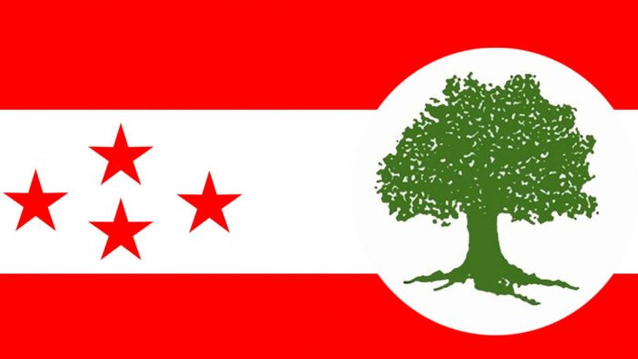 यी हुन् कांग्रेसबाट निर्वाचित १४ सांसद