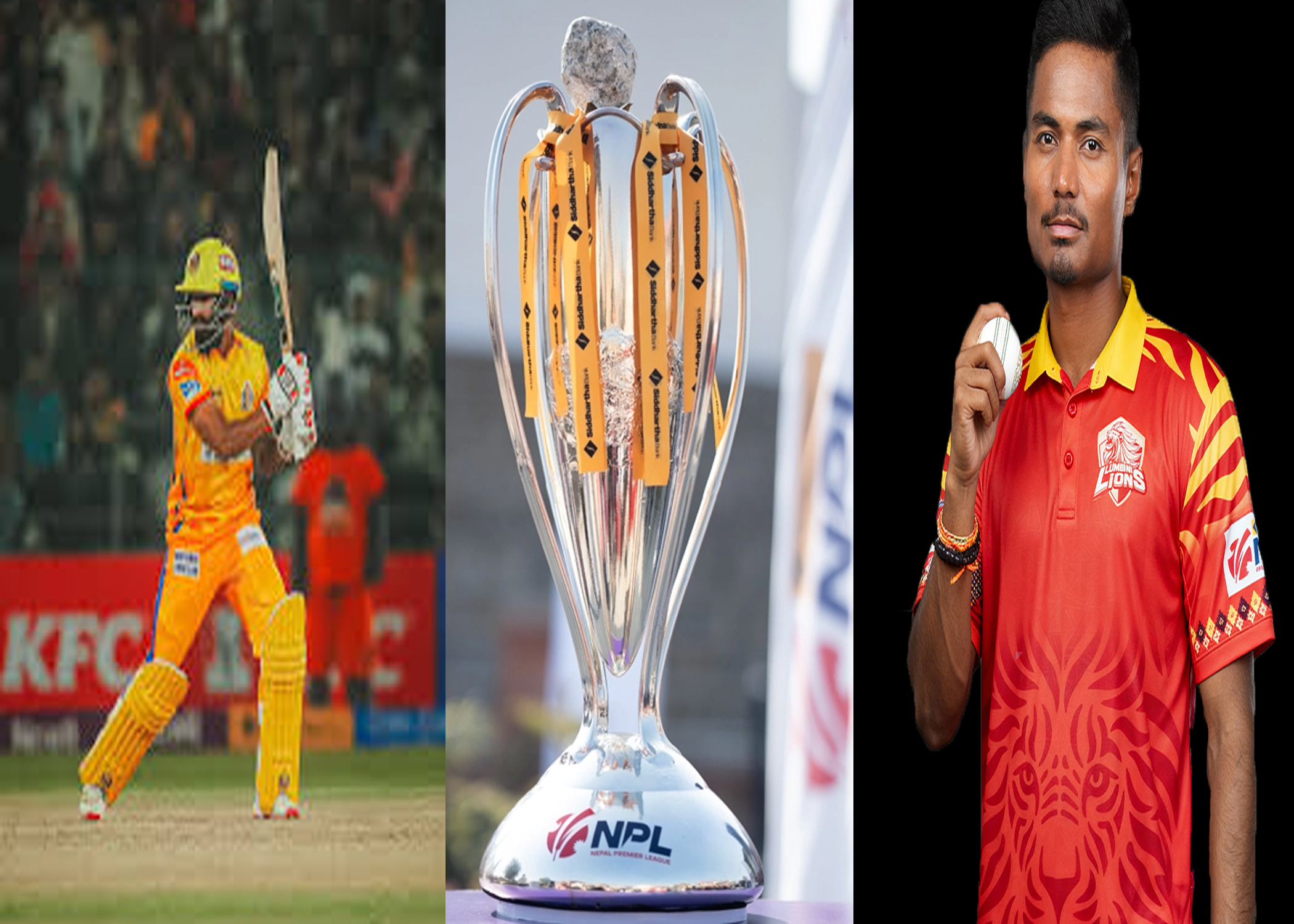 एनपिएलको फाइनल आज, उपाधिका लागि रोयल्स र लायन्स भिड्दै, को कति बलियो ?