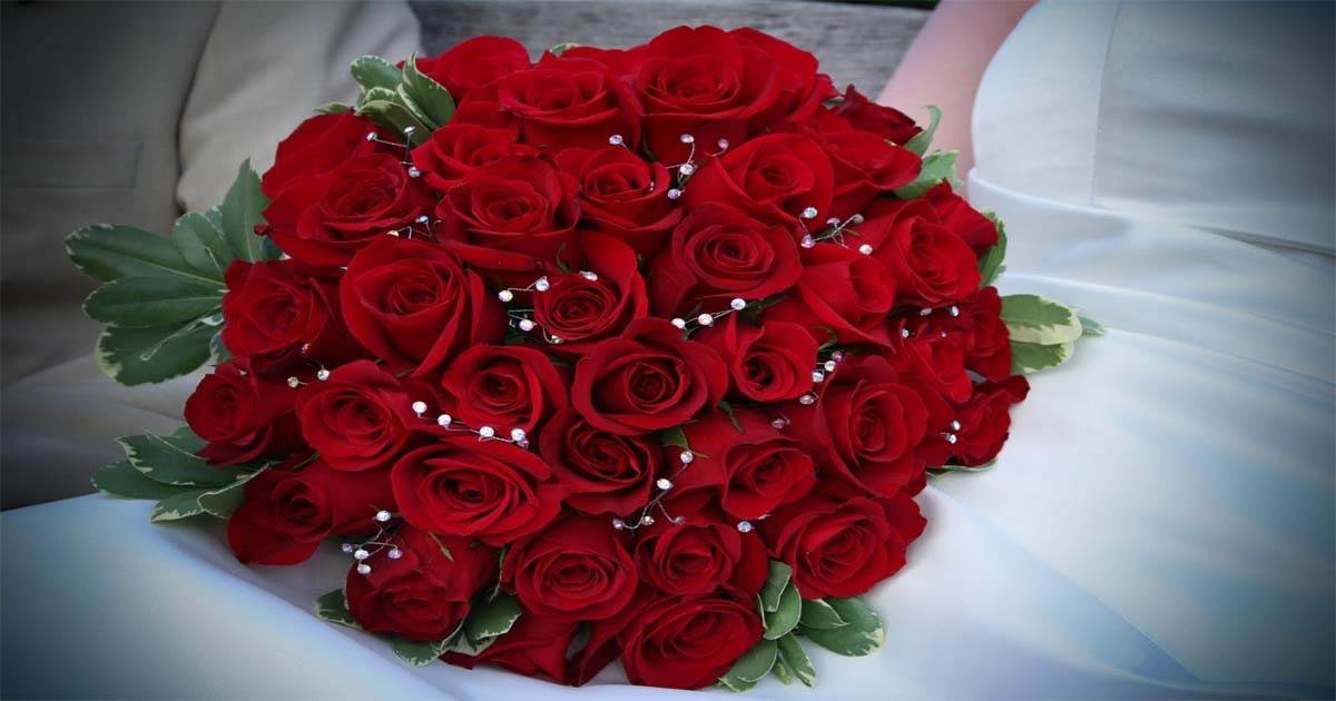 ‘भ्यालेन्टाइन डे’ को लागि भारतबाट दुई लाख सात हजार गुलाफको फूल ल्याइँदै