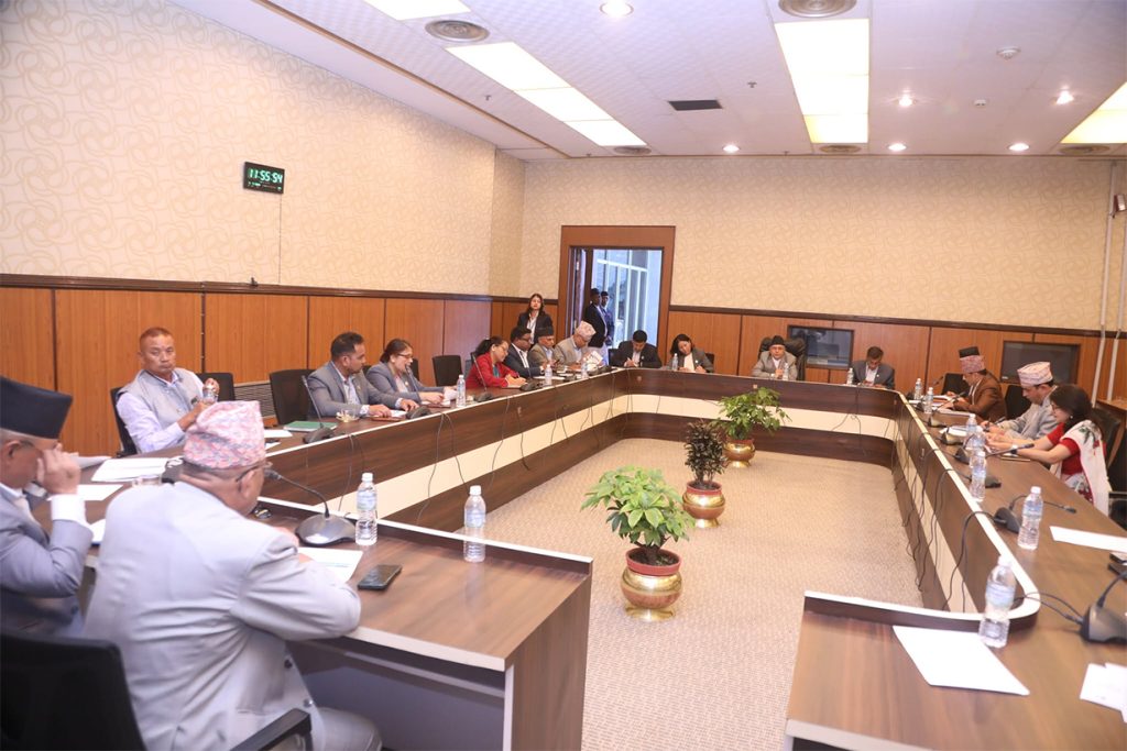 संघीय सेवा विधेयक प्रकरण: विशेष समिति गठन, २१ दिनको समय सीमा