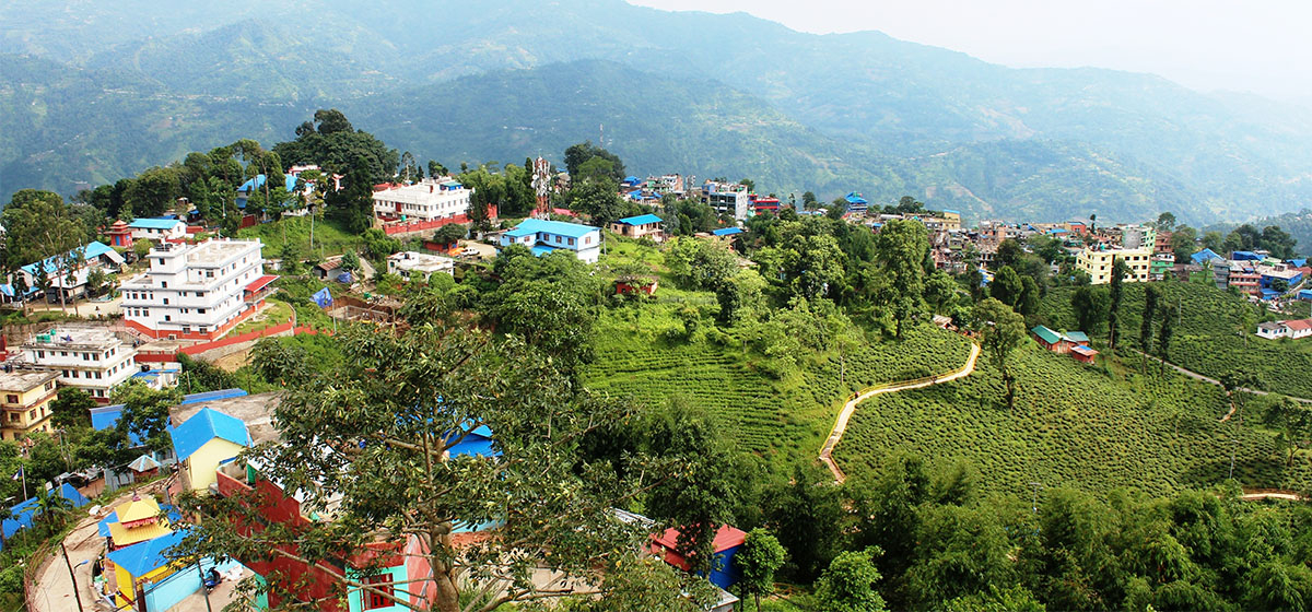 पर्यटकको रोजाइमा इलाम, एक वर्षमा १ लाख ४१ हजार ५१७ पर्यटकले गरे अवलोकन