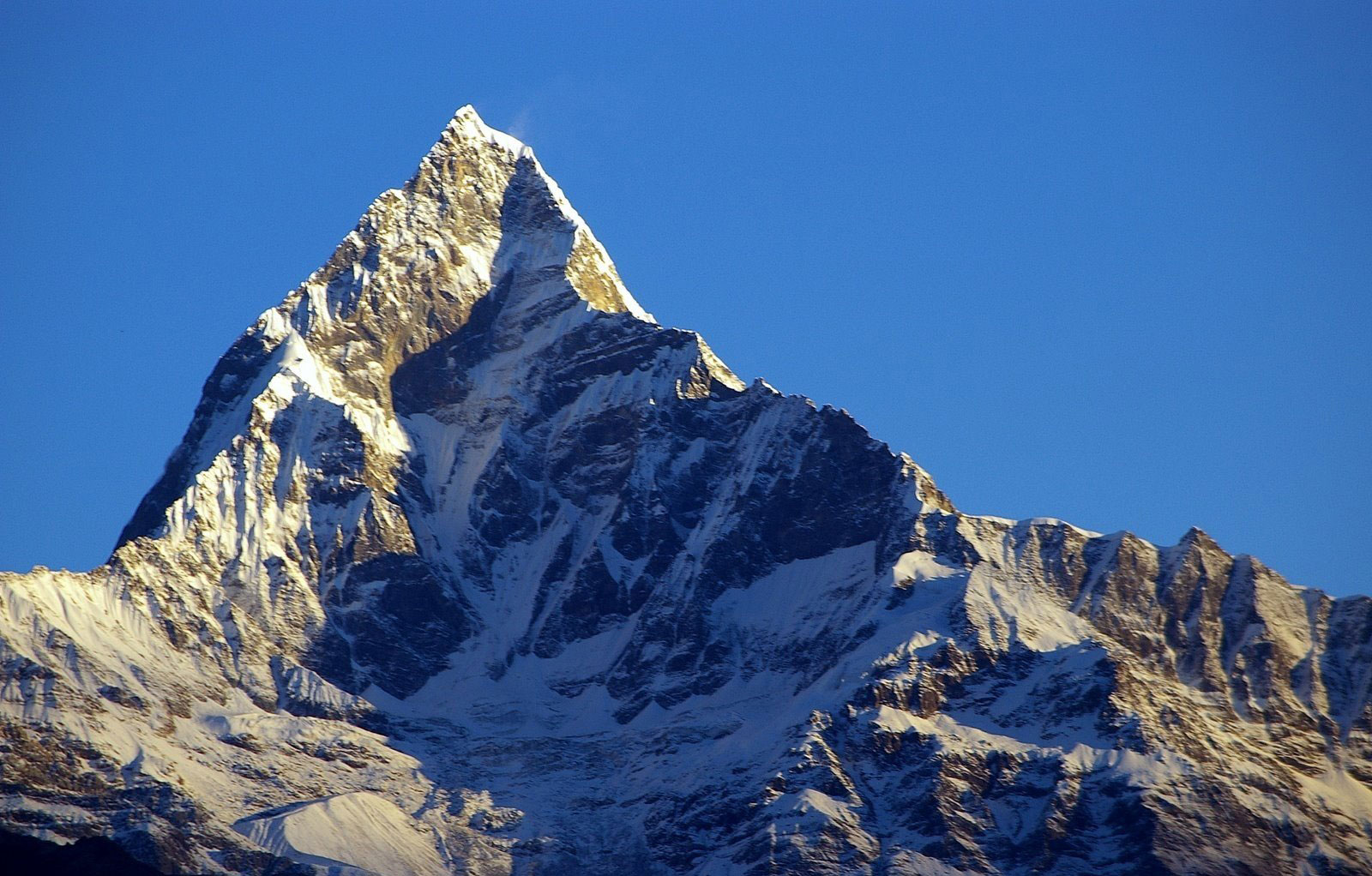 कोरियालीले चढे अन्नपूर्ण, यसरी हात लाग्यो सफलता