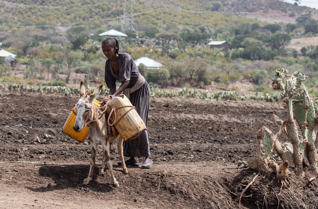 इथियोपिया टाट पल्टिने जोखिममा, अन्तर्राष्ट्रिय ऋणपत्रको ब्याज तिर्न सकेन
