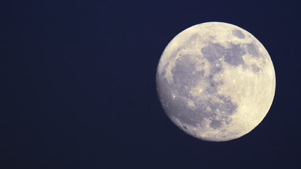 वैज्ञानिकले अब चन्द्रमामा बिरुवा उब्जनी गर्ने