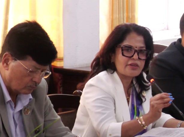 लगानीकर्ताको हित संरक्षणमा धितोपत्र बोर्डले प्रभावकारी भूमिका खेल्न सकेन - सांसद लिमा
