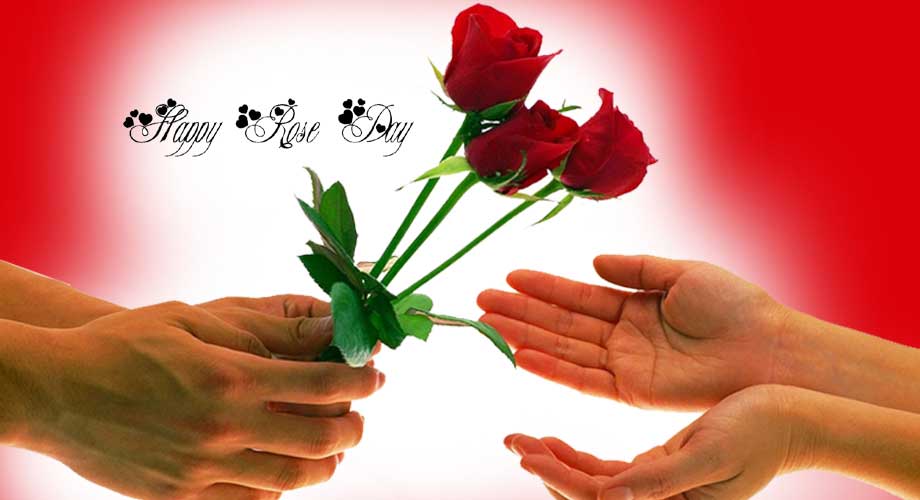 ‘भ्यालेनटाइन डे’ मा एउटै किसानले बेचे १० लाखको गुलाब