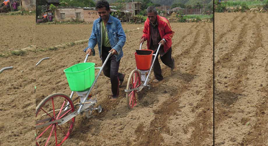 यन्त्रबाट मकै रोप्दै