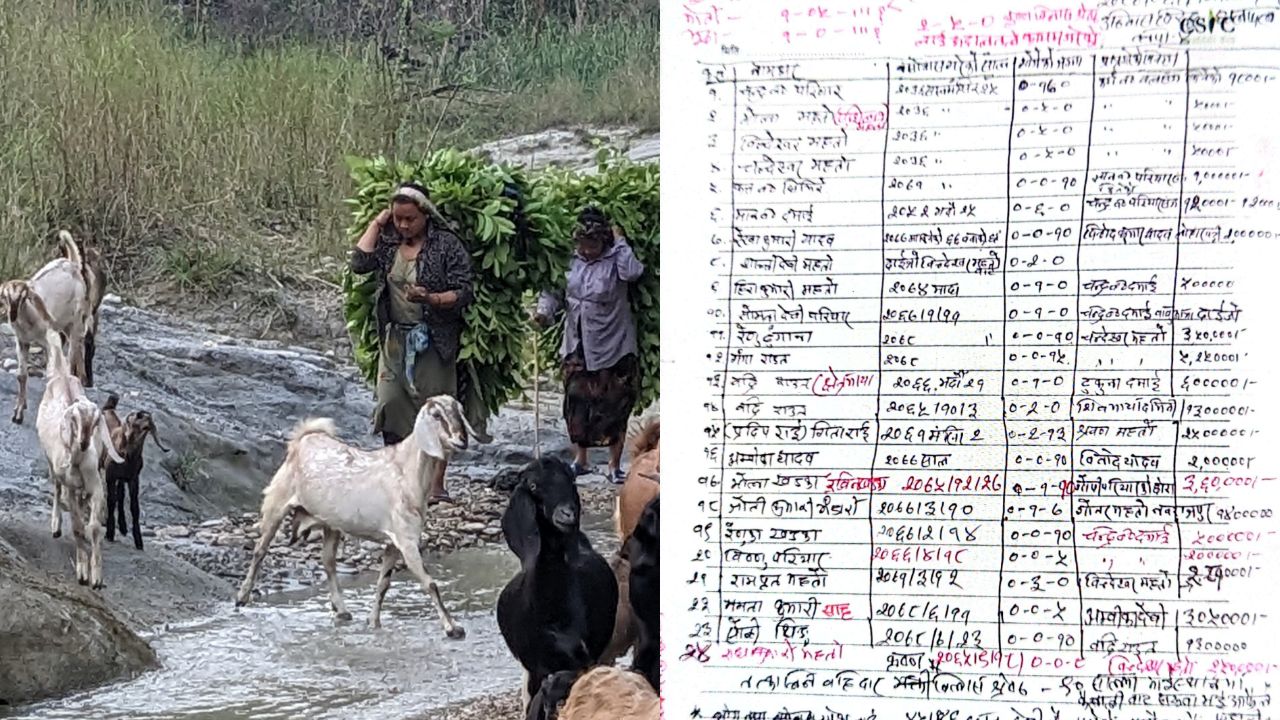 महोत्तरीको एउटा टोल नै भू-माफियाको कब्जामा !