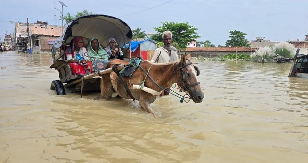 तेसो दिन खुल्यो गौर भन्सार, पानी जमेर आउने जानेलाई सास्ती