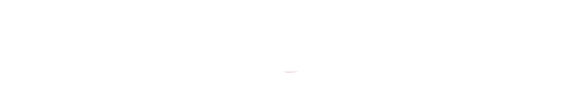 NIC ASIA MUTUAL FUND