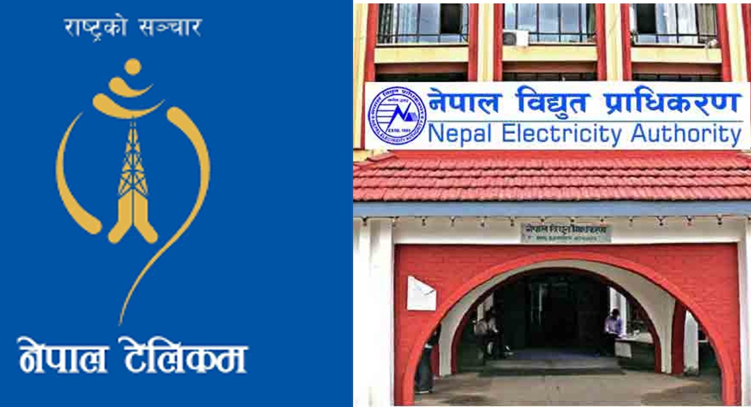 नेपाल टेलिकमको २२ प्रतिशत सेयर जस्तै हुने त हैन बिद्युत प्राधिकरणको आईपिओ ?