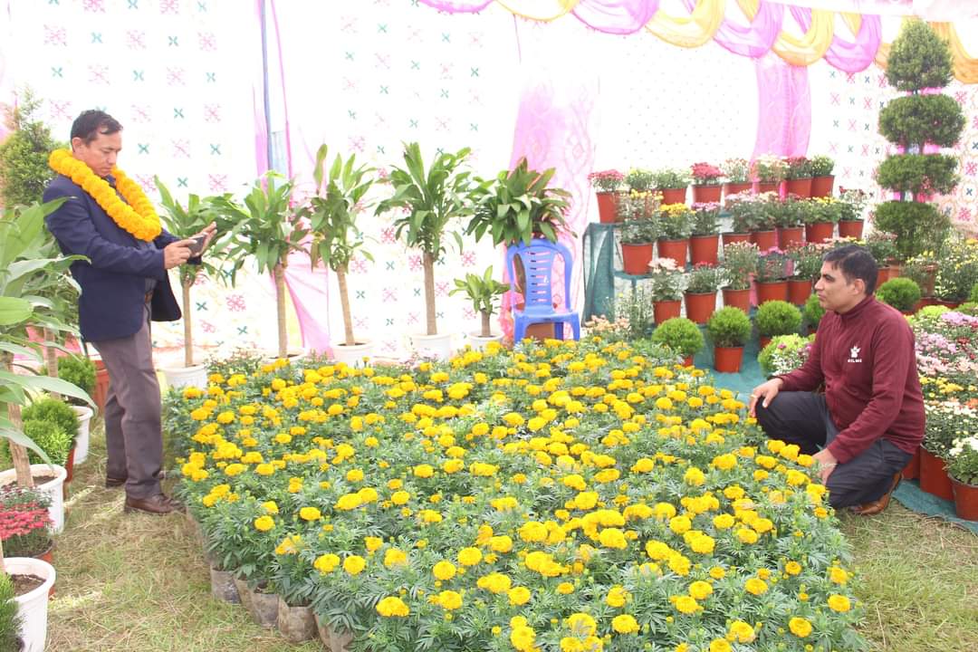 पोखरामा सातौँ गोदावरी पुष्प प्रदर्शनी तथा चौँथो गण्डकी प्रादेशिक पुष्प मेला शुरु