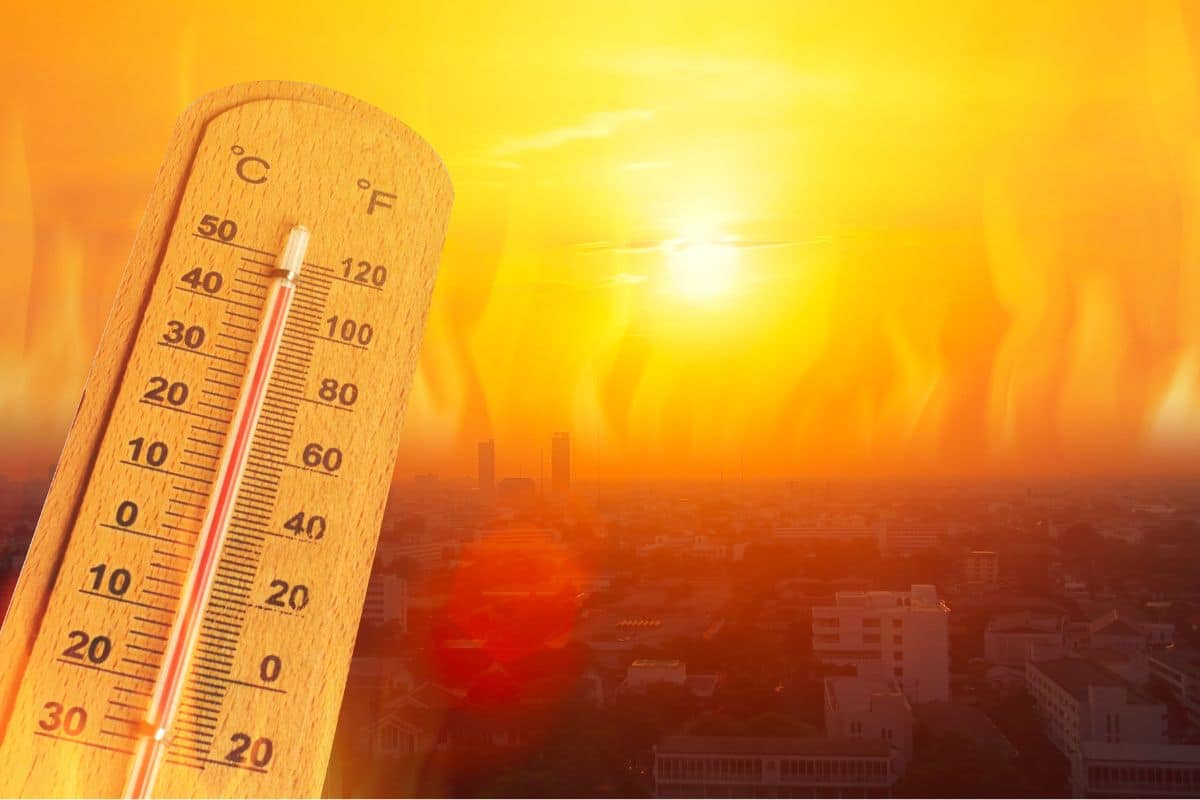 यूएईमा मे महिनाकै उच्चतम तापक्रम: अल ऐनमा ५१.६°C पुग्दा गर्मीले तोड्यो रेकर्ड